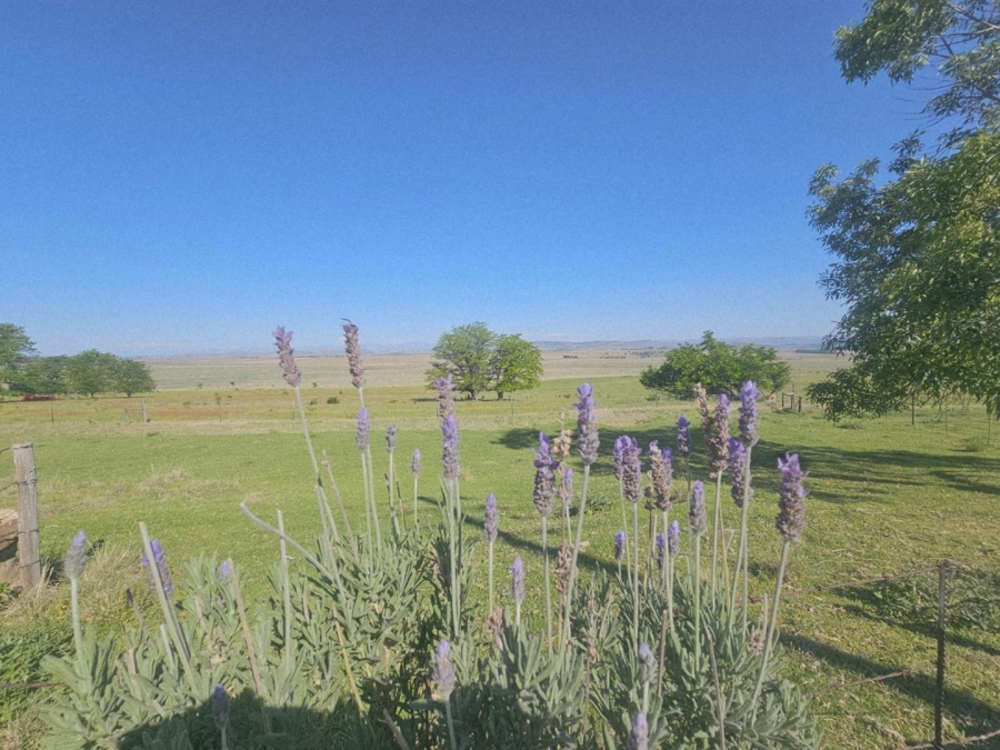 17 Bedroom Property for Sale in Ladybrand Free State